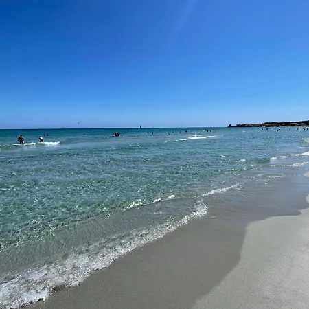 Pineta & Relax House