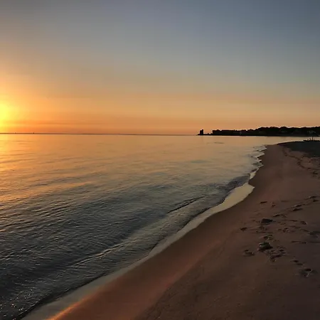 Pineta & Relax House