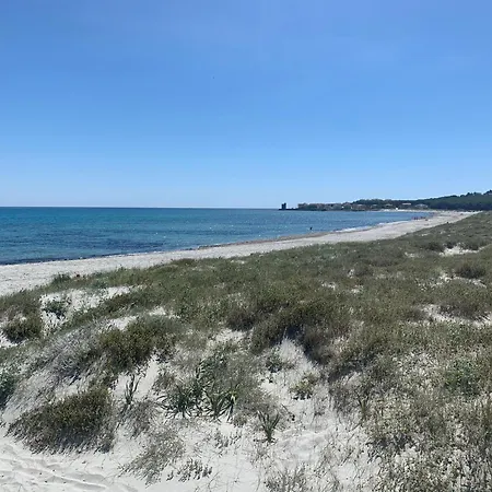 Pineta & Relax House